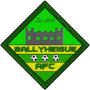 Ballyheigue Athletic FC crest