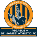 Pegasus/St. James Ath crest