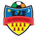 FC Transilvania crest